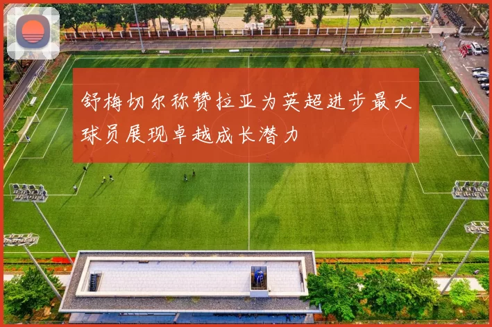 舒梅切尔称赞拉亚为英超进步最大球员展现卓越成长潜力